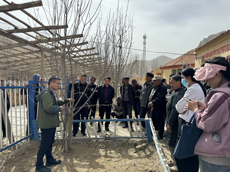 王振磊教授对职工进行指导_副本 王振磊教授对职工进行指导_副本