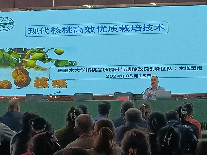 QQ图片20240522202253_副本 QQ图片20240522202253_副本