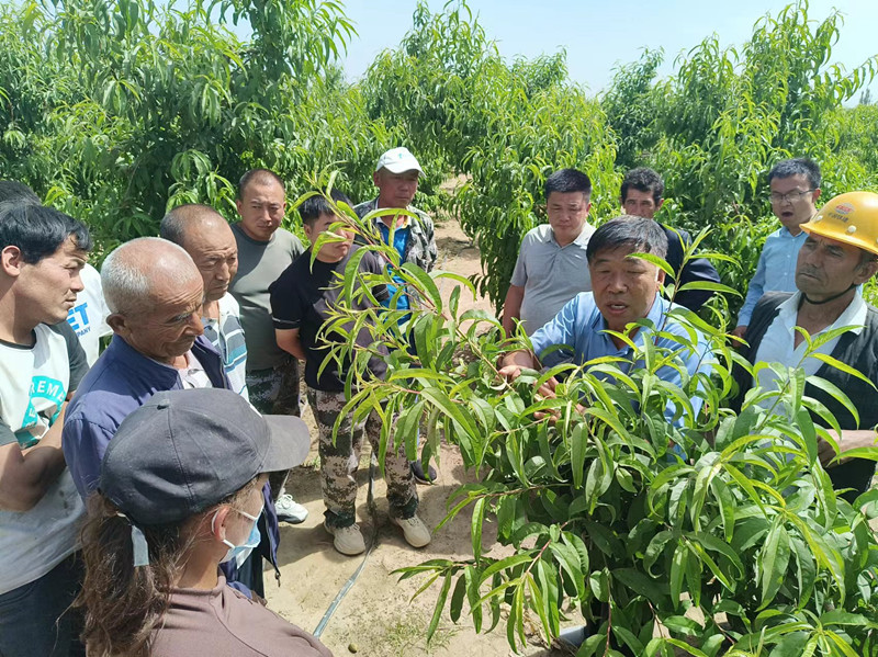 微信图片_20240612212454_副本