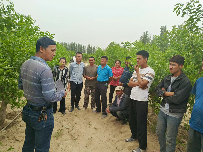 9af49007fc1207114ea96d052c1bc7c_副本