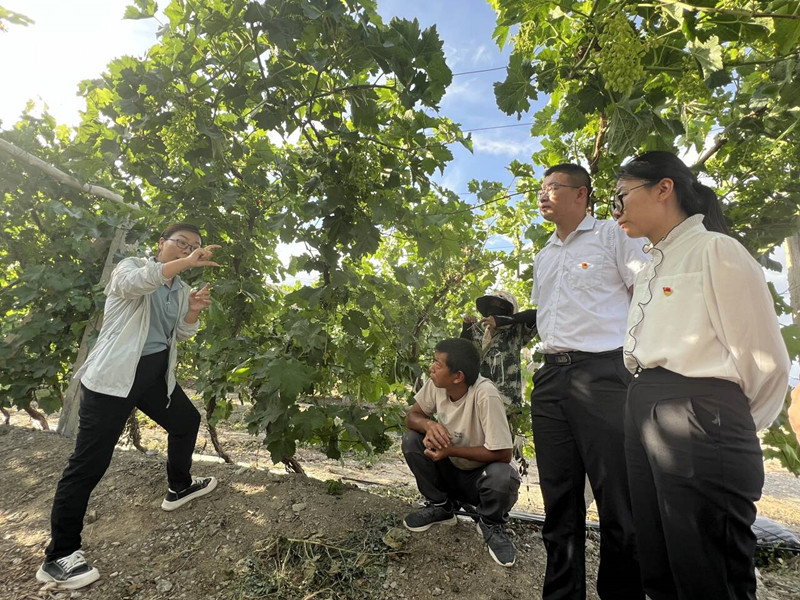 图片3_副本 图片3_副本