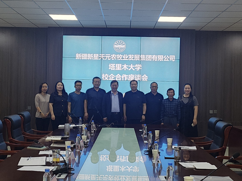 图片3_副本 图片3_副本