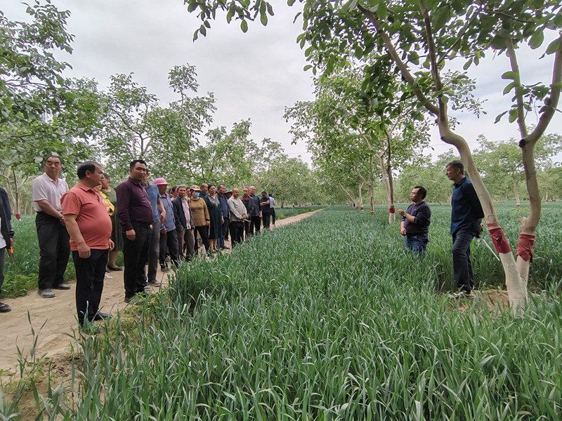 QQ图片20240510210840_副本