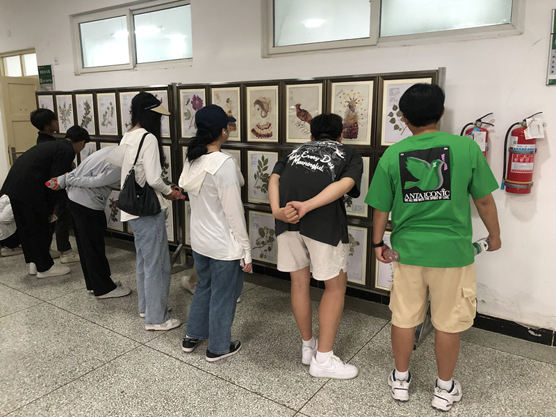 QQ图片20240524204708_副本