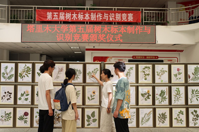 图片二_副本 图片二_副本