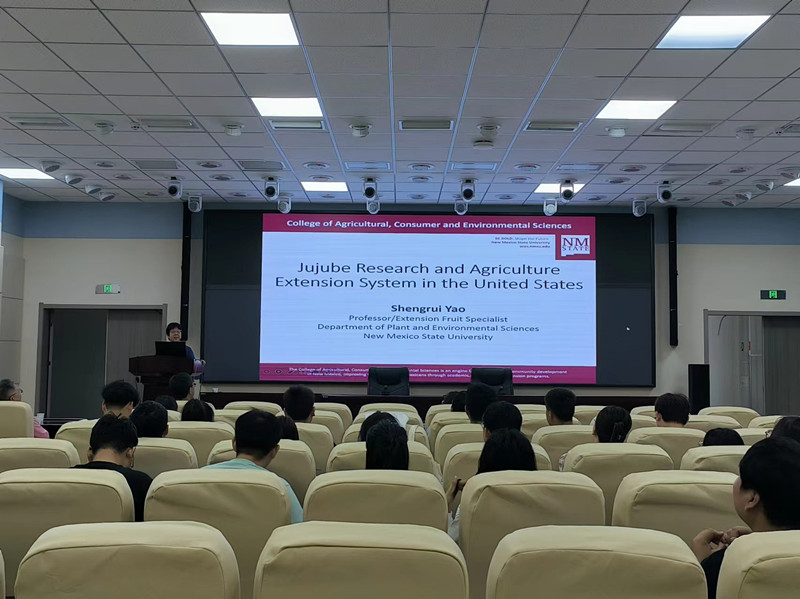 图片1_副本 图片1_副本