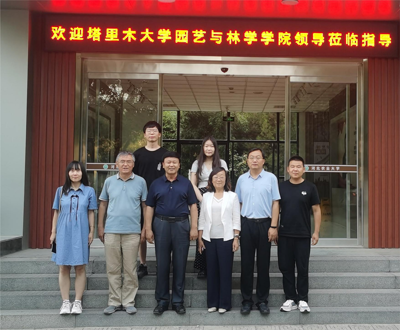 图片2_副本 图片2_副本