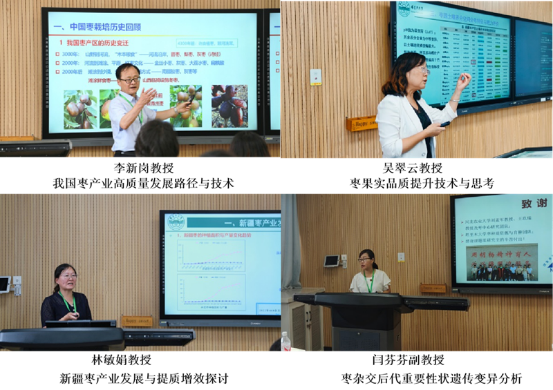 图片3_副本 图片3_副本