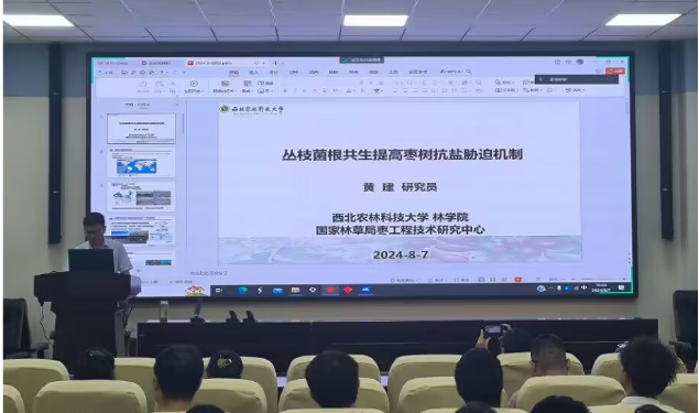 89D06656917B2E5C29BA39591696BEDC_副本 89D06656917B2E5C29BA39591696BEDC_副本