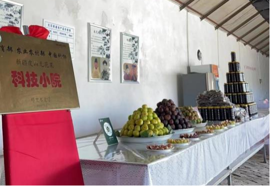 展会无花果产品_副本 展会无花果产品_副本