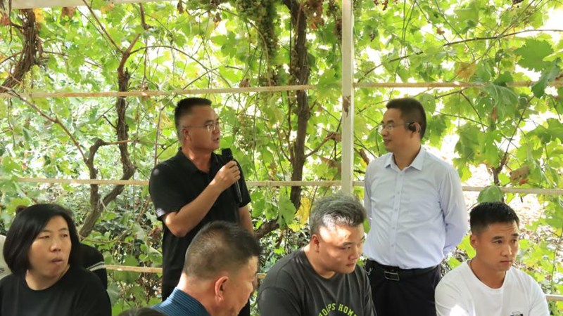 图片2_副本 图片2_副本