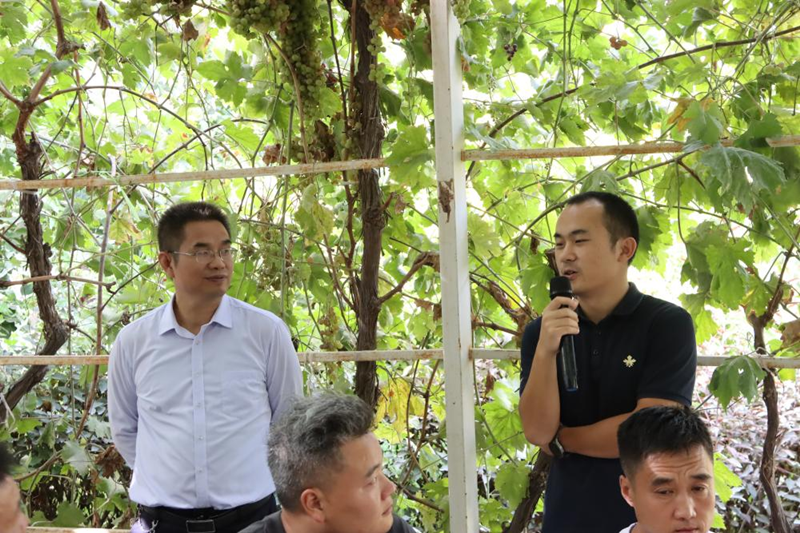 图片4_副本 图片4_副本