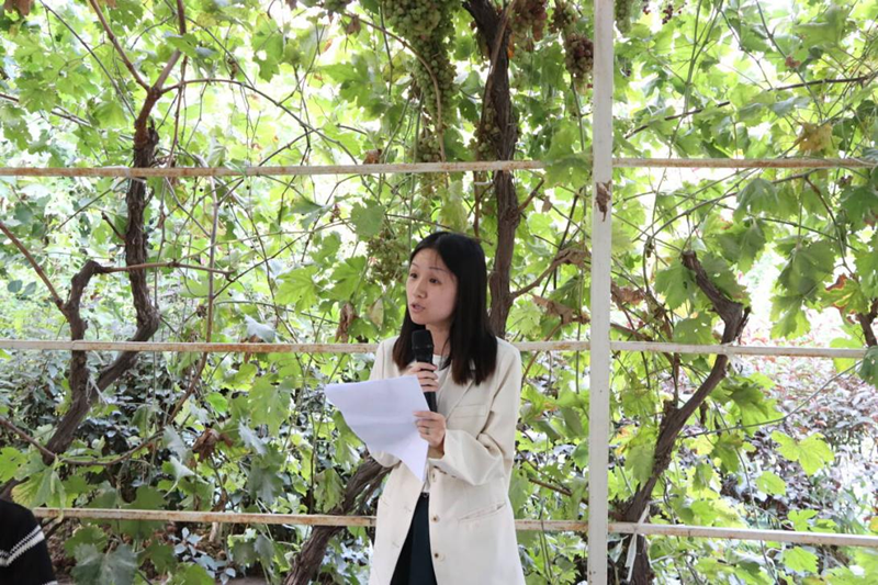 图片5_副本 图片5_副本