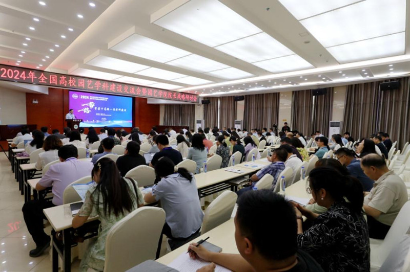 IMG_6801_副本 IMG_6801_副本