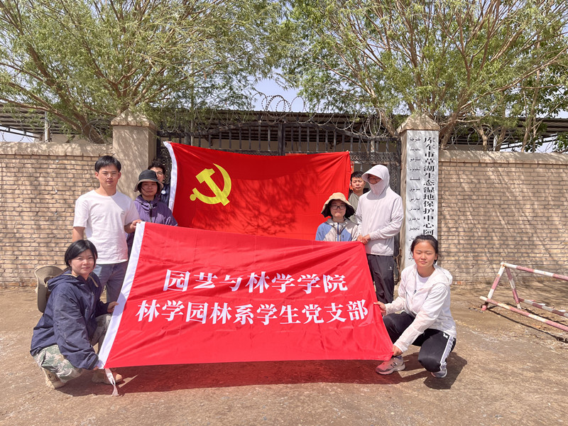 图片2_副本 图片2_副本