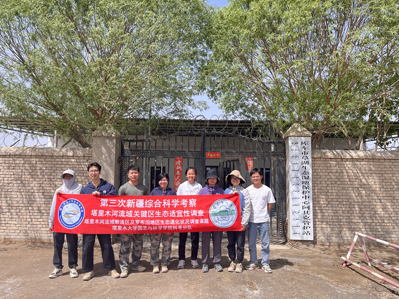 图片3_副本 图片3_副本