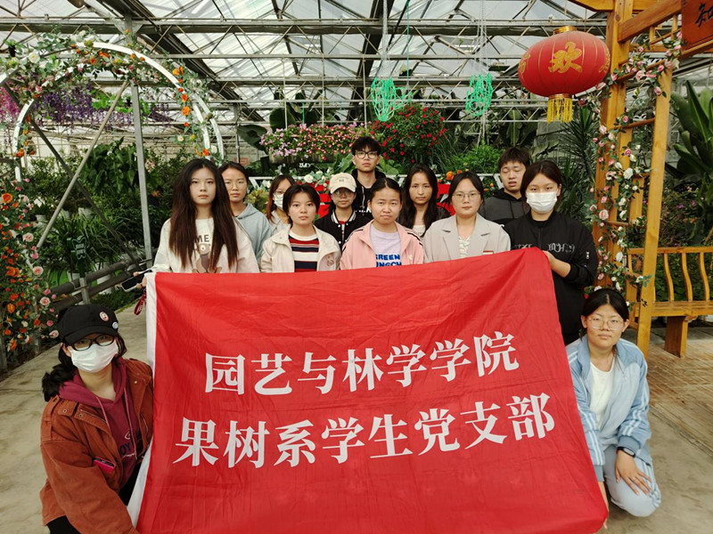 图片1_副本 图片1_副本